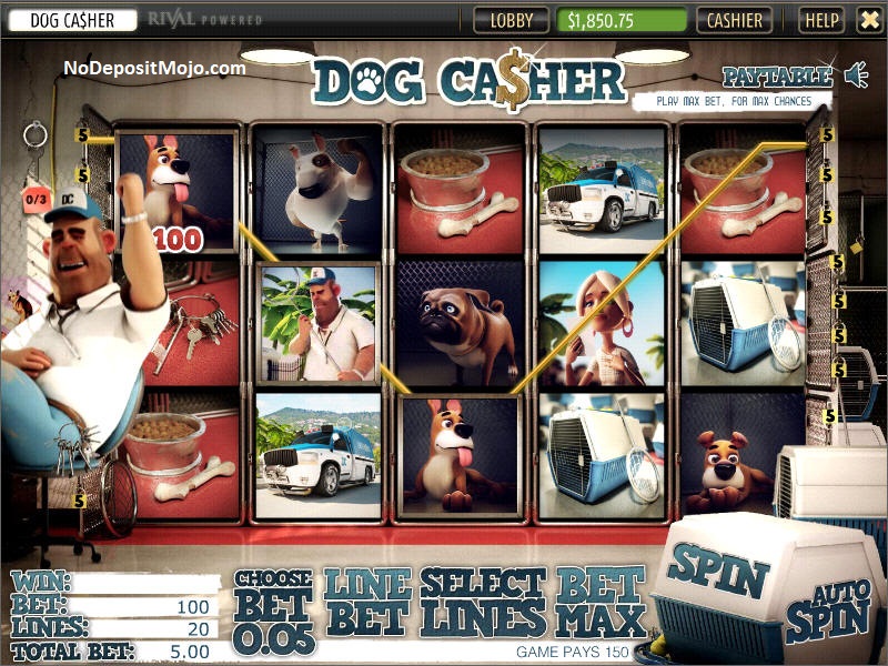 Dog Casher Rival Slot